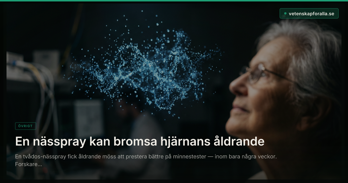 En nässpray kan bromsa hjärnans åldrande