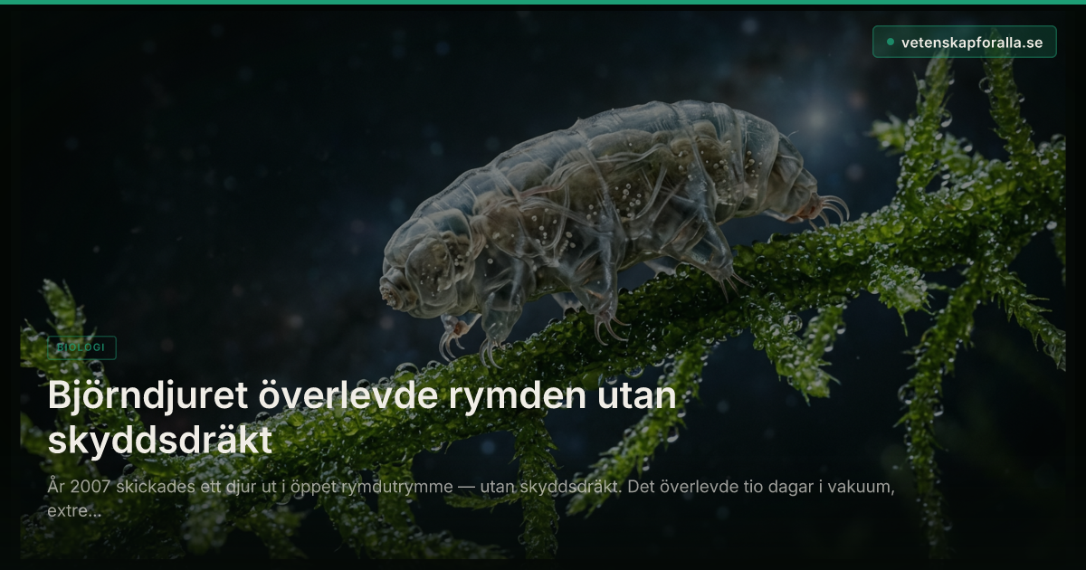 Björndjuret överlevde rymden utan skyddsdräkt