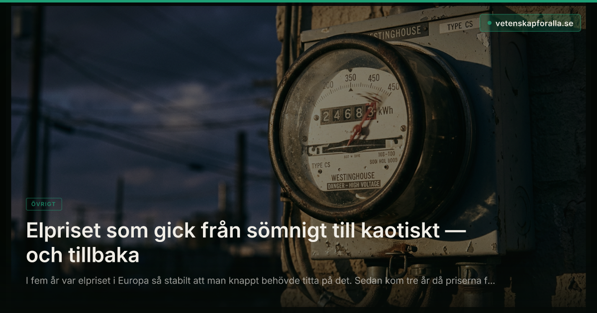 Elpriset som gick från sömnigt till kaotiskt — och tillbaka