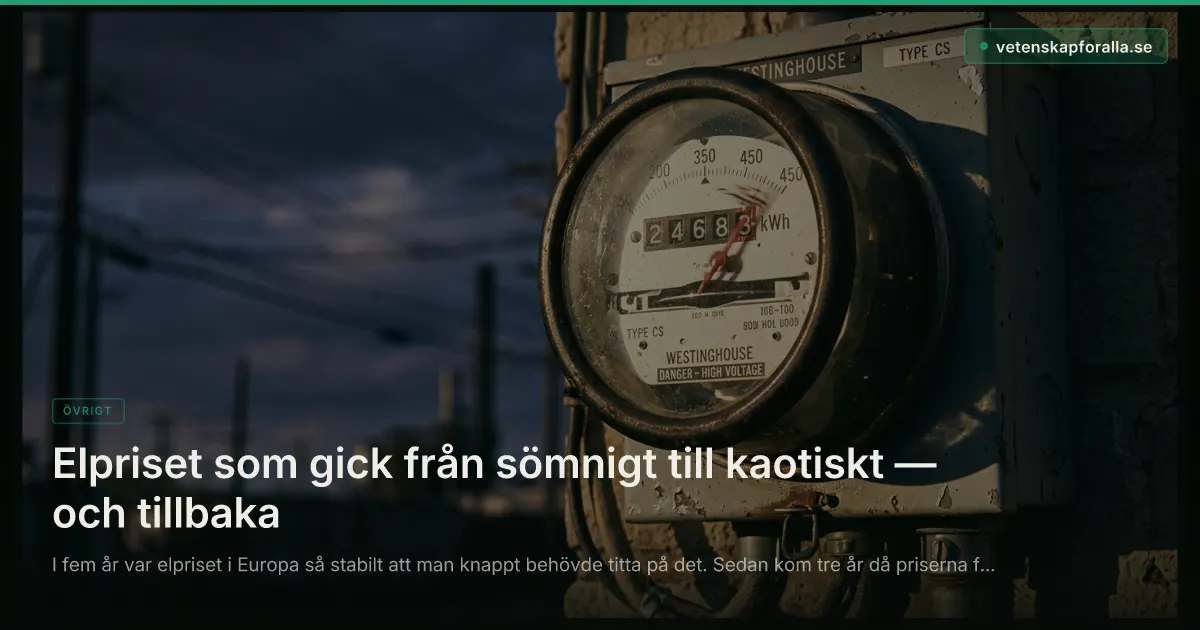 Elpriset som gick från sömnigt till kaotiskt — och tillbaka