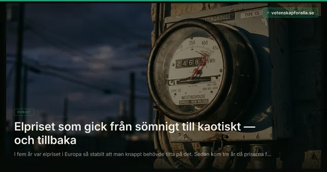 Elpriset som gick från sömnigt till kaotiskt — och tillbaka