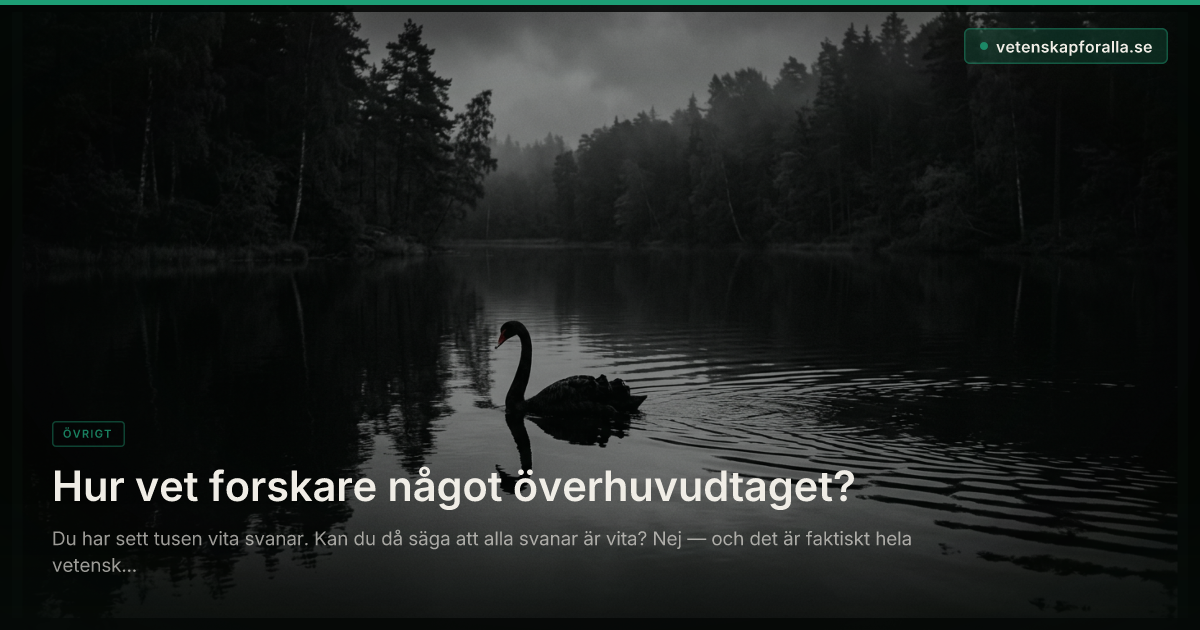 Hur vet forskare något överhuvudtaget?