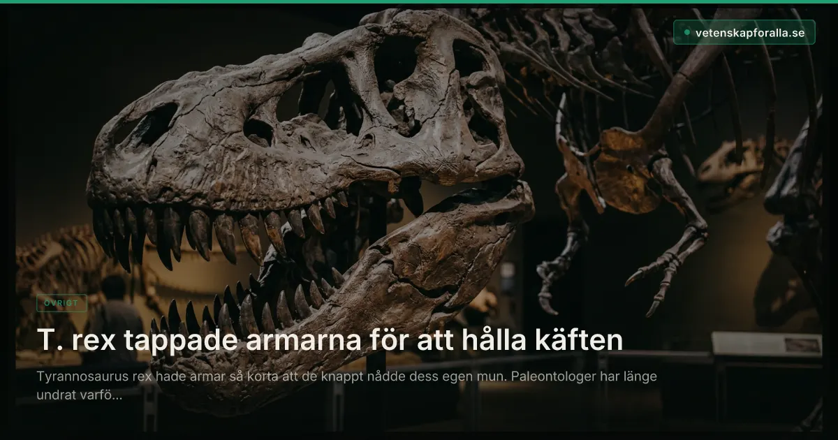 T. rex tappade armarna för att hålla käften