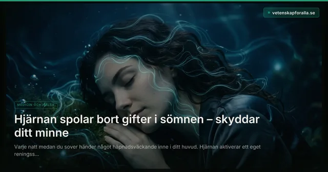 Hjärnan spolar bort gifter i sömnen – skyddar ditt minne